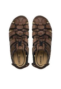 Geox Sandały Uomo Sandal Strada U4524C 000ME C6006 Brązowy. Kolor: brązowy #3