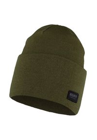 Buff - Czapka zimowa lifestyle Niels. Kolor: zielony. Sezon: zima. Styl: sportowy #1