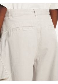 Pinko - PINKO Spodnie materiałowe 104981 A2EC Szary Regular Fit. Kolor: szary. Materiał: bawełna