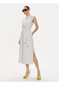 Max Mara Leisure Sukienka codzienna Megaton 2416621028 Szary Relaxed Fit. Okazja: na co dzień. Kolor: szary. Materiał: syntetyk. Typ sukienki: proste. Styl: casual