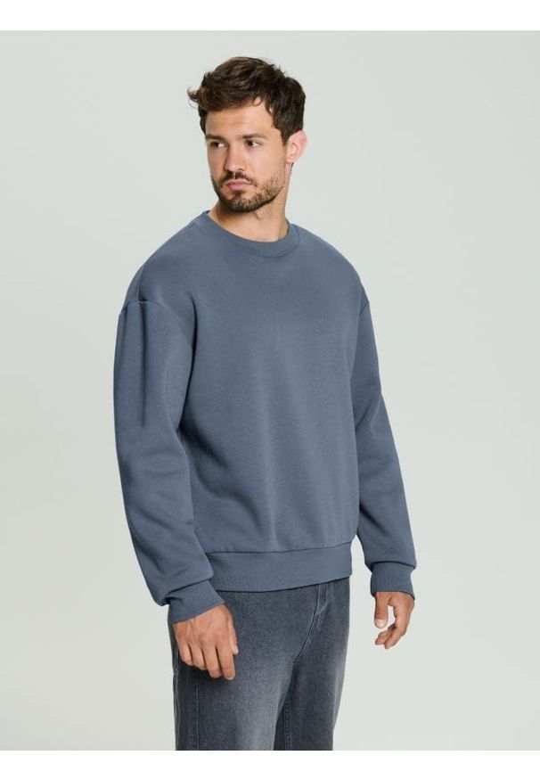 Sinsay - Bluza basic comfort fit - szary. Kolor: szary