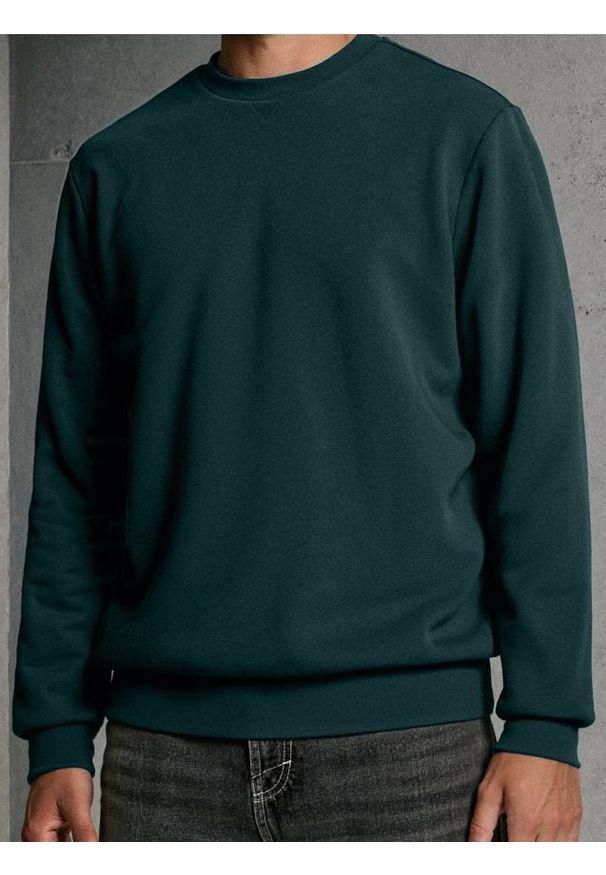 Sinsay - Bluza z długim rękawem - zielony. Kolor: zielony. Długość rękawa: długi rękaw. Długość: długie