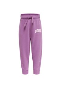 Spodnie dresowe dla dzieci Hummel Fast Apple. Kolor: fioletowy. Materiał: dresówka. Sport: joga i pilates, bieganie