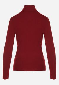 Born2be - Bordowy Klasyczny Golf z Bawełną Reilisea. Okazja: na co dzień. Typ kołnierza: golf. Kolor: czerwony. Materiał: bawełna. Styl: klasyczny #2