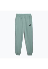 Puma - Spodnie męskie PUMA ESS No. 1 Logo Sweatpants TR CL. Kolor: zielony