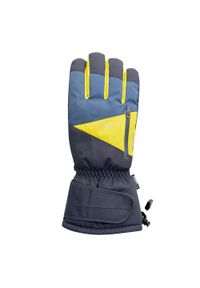 Elbrus - Damskie Rękawice Narciarskie Richen. Kolor: żółty, niebieski, wielokolorowy, zielony. Sezon: zima. Sport: narciarstwo #1