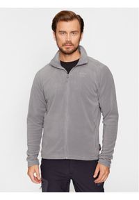 Helly Hansen Polar Daybreaker 51598 Szary Regular Fit. Kolor: szary. Materiał: polar, syntetyk