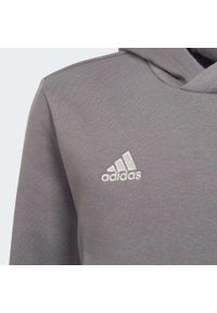 Adidas - Bluza piłkarska dla dzieci adidas Entrada 22 Hoody. Typ kołnierza: kaptur. Kolor: szary. Materiał: polar, materiał. Sport: piłka nożna