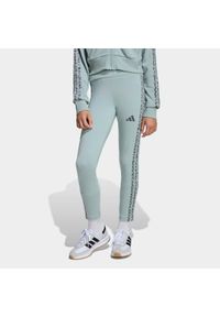 Adidas - Legginsy fitness dla dzieci ADIDAS. Okazja: na uczelnię. Kolor: zielony. Materiał: bawełna, materiał. Styl: sportowy #1