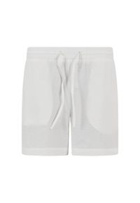 Szorty damskie z materiału Seersucker Urban Classics. Kolor: biały. Materiał: materiał. Długość: krótkie #1