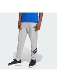 Adidas - Spodnie Future Icons 3-Stripes. Kolor: szary. Materiał: materiał. Sport: fitness
