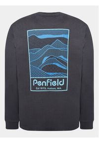 Penfield Longsleeve PFD0282 Szary Regular Fit. Kolor: szary. Materiał: bawełna. Długość rękawa: długi rękaw