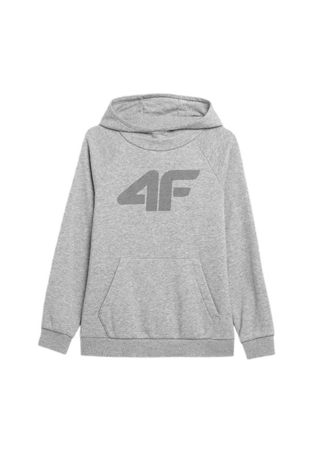 4f - Bluza Dziecięca 4F. Kolor: szary