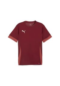 Koszulka Puma TeamGoal. Kolor: czerwony. Sport: piłka nożna #1