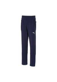 Puma - Spodnie Dresowe Boys Liga. Kolor: niebieski. Materiał: dresówka