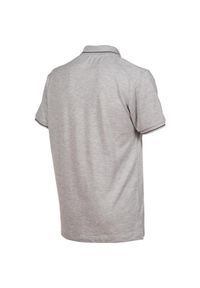 Koszulka polo Arena Team Polo shirt Solid Cotton. Typ kołnierza: polo. Kolor: szary. Materiał: bawełna. Wzór: gładki