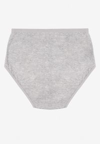 Renee - Szare Majtki Figi z Bawełny Zdobione Koronką Idiara. Kolekcja: plus size. Kolor: szary. Materiał: koronka, bawełna. Wzór: koronka, aplikacja