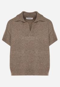 Born2be - Jasnobrązowy Sweter z Wełną z Krótkim Rękawem i Kołnierzykiem Tevalina. Kolor: brązowy. Materiał: wełna. Długość rękawa: krótki rękaw. Długość: krótkie. Styl: elegancki, klasyczny #4