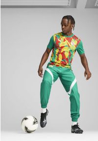 Puma - Męska koszulka przedmeczowa Senegal 2025 PUMA Sport Green Faster Yellow Red. Kolor: żółty, czerwony, wielokolorowy, zielony