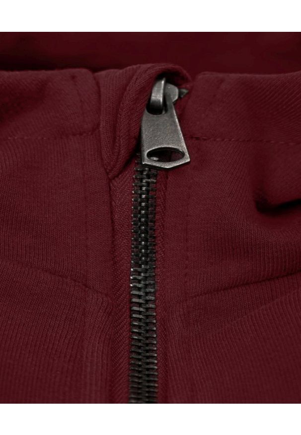 Pako Jeans - Męska Bluza Dresowa z Kapturem - PAKO JEANS - Bordowa. Typ kołnierza: kaptur. Kolor: czerwony. Materiał: bawełna. Styl: klasyczny