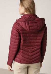 Born2be - Bordowa Klasyczna Kurtka Przejściowa z Pikowaniem i Odpinanym Kapturem Pretiella. Okazja: na spacer, na co dzień. Kolor: czerwony. Materiał: jeans, nylon. Styl: klasyczny #3