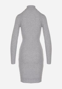 Born2be - Szara Dopasowana Sukienka z Prążkowanej Dzianiny z Golfem Seralinda. Okazja: na co dzień. Typ kołnierza: golf. Kolor: szary. Materiał: prążkowany, dzianina. Długość rękawa: długi rękaw. Styl: wizytowy, klasyczny, casual #7