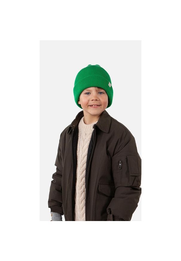 Czapka dla dzieci Barts Kinabalu. Kolor: zielony. Sezon: zima. Styl: sportowy