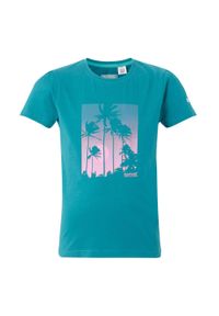 Regatta - T-shirt Dziecięca Z Palmą Bosley VIII. Kolor: różowy