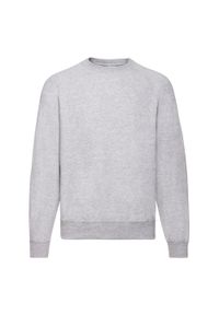FRUIT OF THE LOOM - Bluza Unisex Adult Classic Plain Raglan. Kolor: szary. Długość rękawa: raglanowy rękaw
