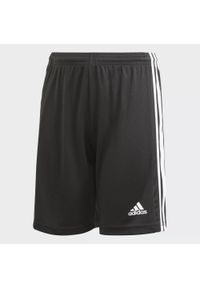 Adidas - Spodenki dziecięce adidas Squadra 21. Kolor: czarny. Styl: sportowy, elegancki