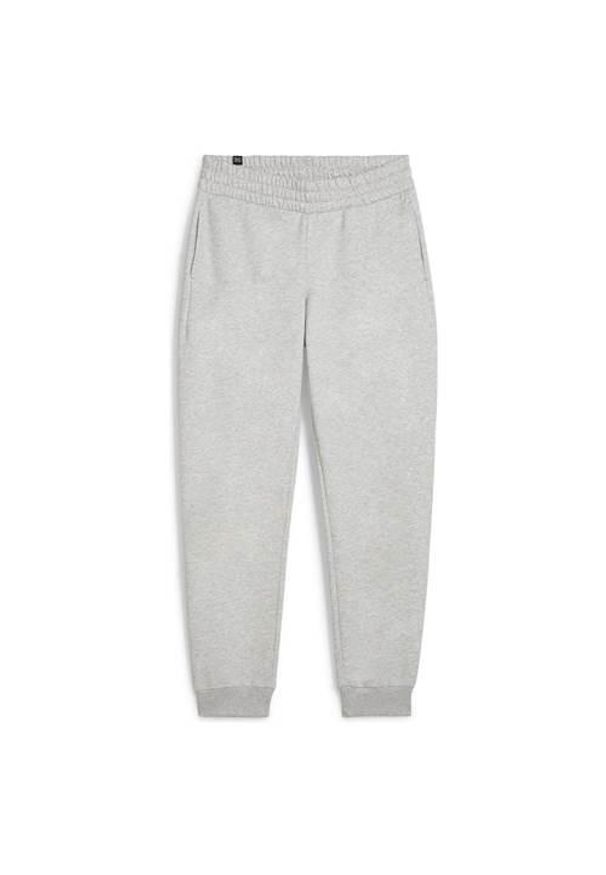 Spodnie sportowe damskie Puma Ess+ Logo Lab. Kolor: szary. Materiał: dresówka. Długość: długie