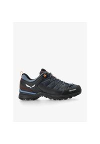 Buty trekkingowe niskie Salewa MTN Trainer Lite. Kolor: czarny. Sport: turystyka piesza