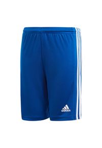 Adidas - Spodenki treningowe dla dzieci adidas Squadra 21 Short Youth. Kolor: biały, wielokolorowy, niebieski