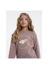 4f - odzież Dziecięce 4F. Kolor: brązowy #1