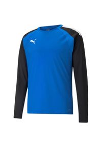 Bluza Puma Teamliga. Kolor: wielokolorowy, niebieski, czarny. Sport: fitness