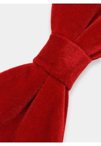 Pako Lorente - PAKO LORENTE – Mucha PPLM9-MX-166-W. Styl: elegancki