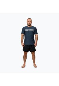 PITBULL - Koszulka męska Pitbull Hilltop Casual Sport. Kolor: niebieski