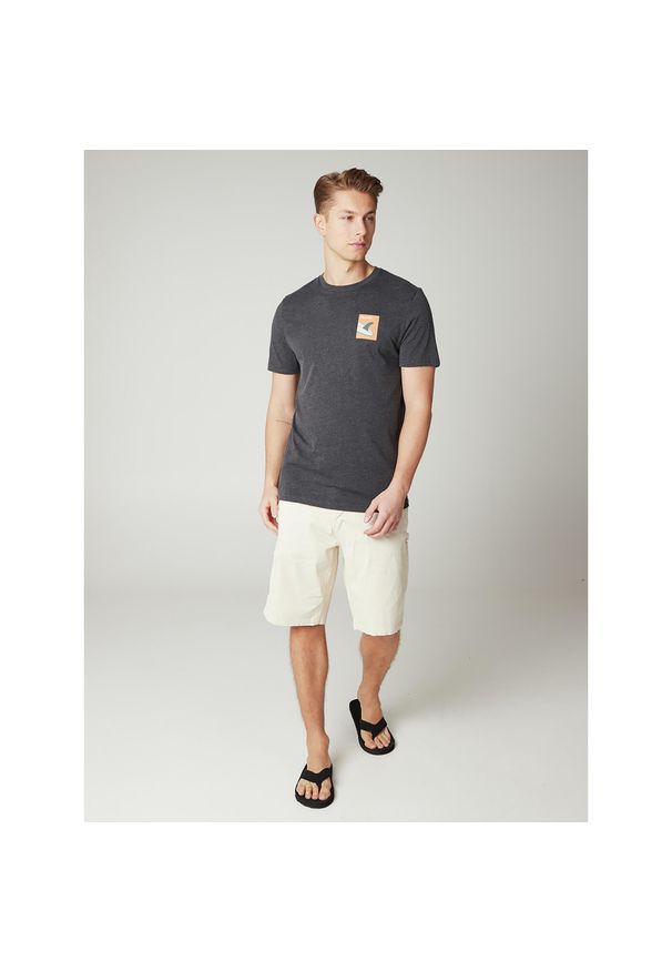 T-shirt męski Protest PRTOALO. Kolor: czarny, szary, wielokolorowy. Sezon: lato. Sport: turystyka piesza