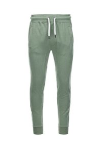 Ombre Clothing - Spodnie męskie dresowe joggery - zielone V3 P948 - XXL. Kolor: zielony. Materiał: dresówka