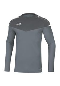 Bluza dziecięca Jako Champ 2.0. Kolor: szary, brązowy, wielokolorowy. Sezon: zima #1