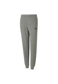 Spodnie treningowe dla dzieci Puma teamGOAL 23 Casuals Pants Jr. Kolor: szary