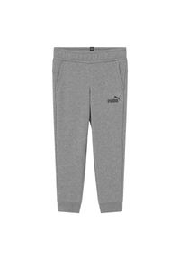Spodnie dla dzieci Puma ESS Logo Pants TR. Kolor: szary