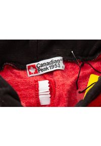 CANADIAN PEAK - Spodnie turystyczne dla dzieci Canadian Peak Madigan. Kolor: czerwony. Materiał: poliester, bawełna. Sezon: lato. Sport: turystyka piesza