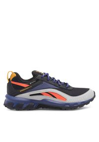 Reebok Buty do biegania Ridgerider 6 Gtx GX2247 Kolorowy. Wzór: kolorowy