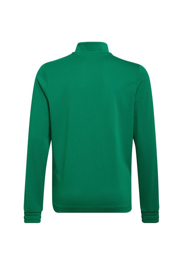 Adidas - Bluza piłkarska dla dzieci adidas Entrada 22 Training Top. Kolor: zielony, biały, wielokolorowy. Sport: piłka nożna