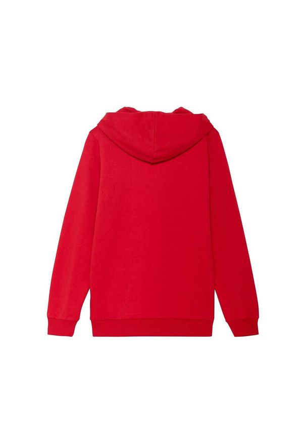 Puma - Bluza Z Kapturem Dziecięca Team Goal Casuals. Typ kołnierza: kaptur. Kolor: czerwony. Sport: joga i pilates