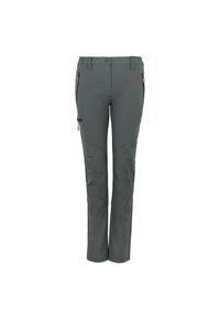 PEAK MOUNTAIN - Spodnie damskie z trzema kieszeniami i podparciem na ręce Peak Mountain. Kolor: szary. Sezon: lato. Sport: turystyka piesza #1