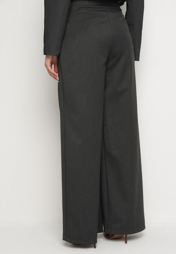 Born2be - Ciemnoszare Szerokie Spodnie Garniturowe z Wiskozą z Zakładkami i Wsuwanymi Kieszeniami Gelobria. Okazja: na co dzień. Stan: podwyższony. Kolor: szary. Materiał: wiskoza. Styl: casual, klasyczny, elegancki