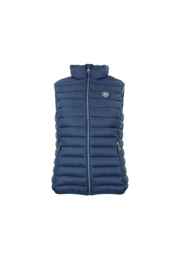 PEAK MOUNTAIN - Damska kurtka bez rękawów Peak Mountain Fine. Typ kołnierza: kołnierzyk stójkowy. Kolor: wielokolorowy, niebieski, szary. Materiał: puch. Długość rękawa: bez rękawów. Sport: turystyka piesza