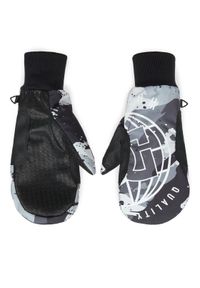 DC Shoes Rękawice narciarskie Tribute ADYHN03036 Szary. Kolor: szary. Materiał: poliester. Sport: narciarstwo #1